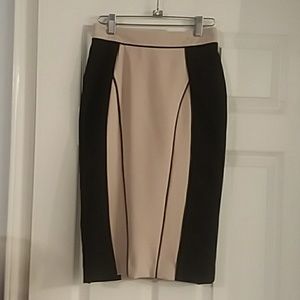 Atmosphere Pencil Skirt